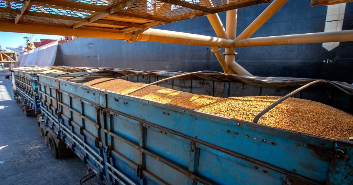 Blog conecta.ag | Analista aponta exportações como fator para produtor brasileiro