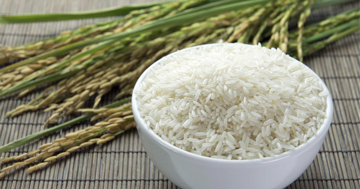 Blog conecta.ag | Avaliação do farelo de arroz e suas aplicações na aquicultura