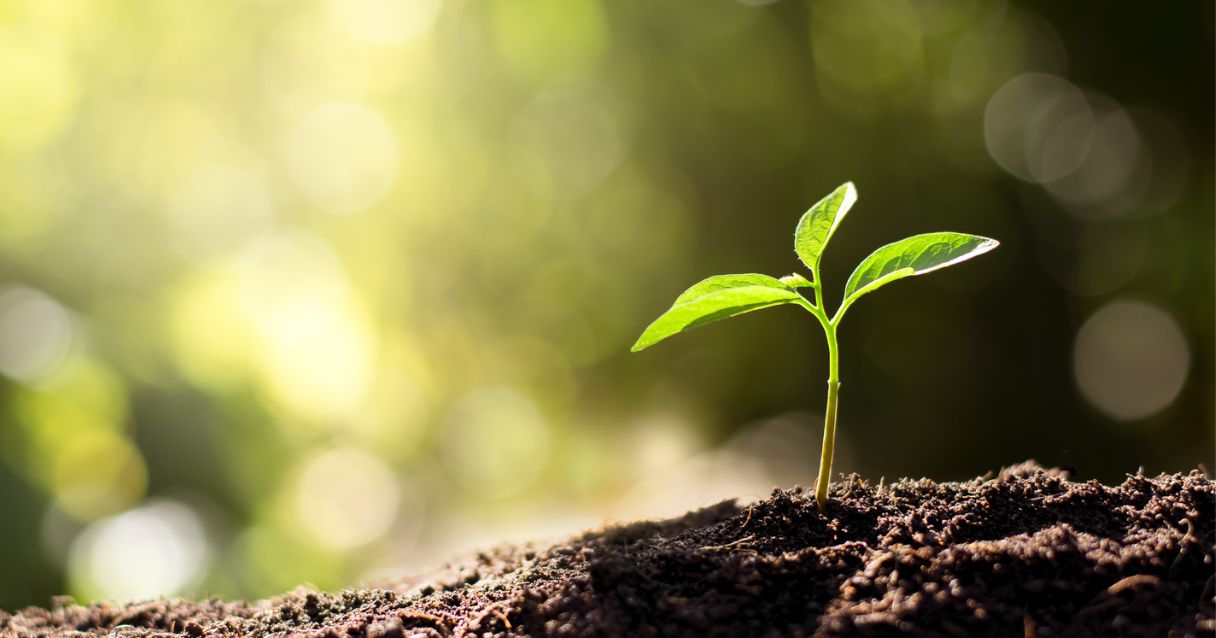 Blog conecta.ag | Comissão Europeia lança nova Estratégia Solos