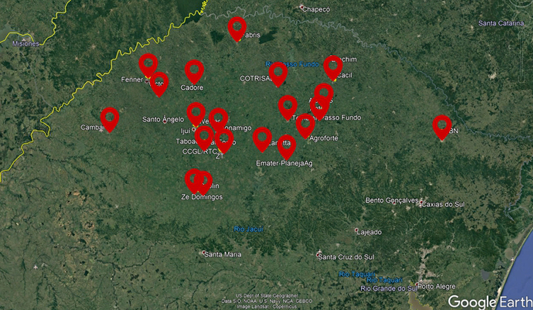 estudo embrapa trigo