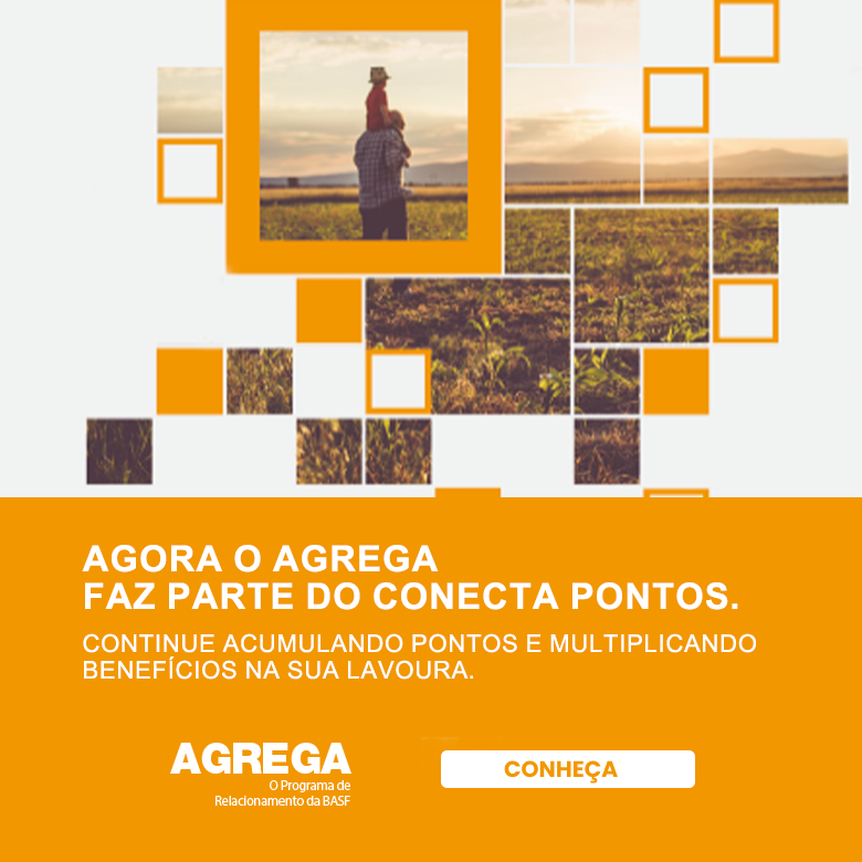 banner agrega conecta pontos