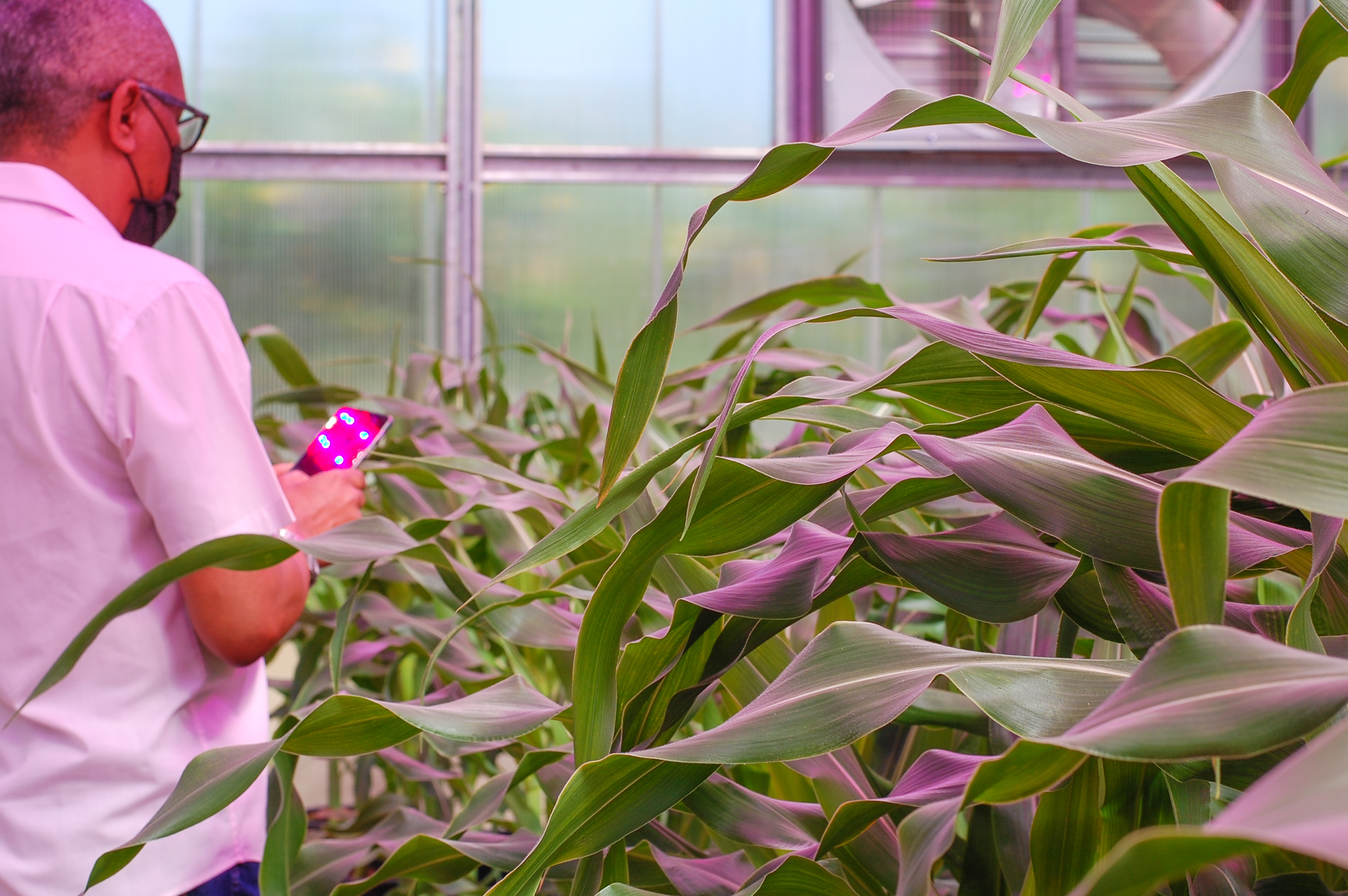 agricultura digital agricultura digital